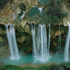 Meet your Posher, Dt